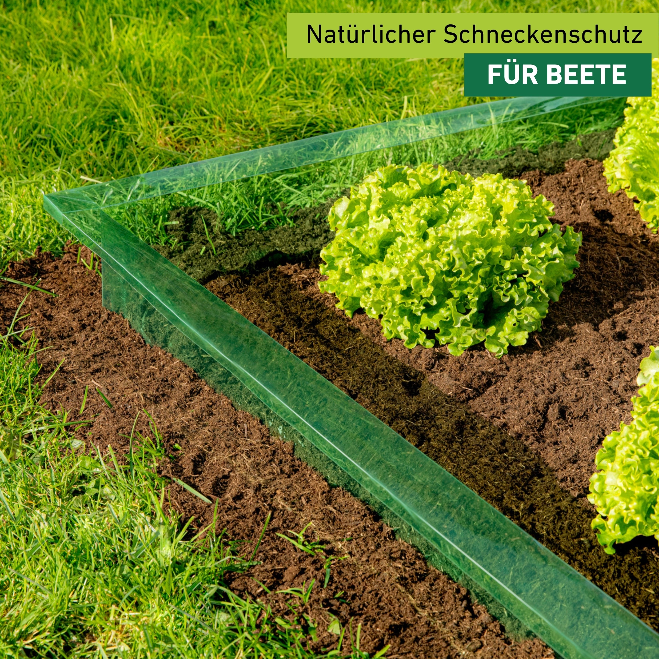 Windhager Schneckenkante »aus PET, Schneckenbarriere 20 cm x 8 m« Schneckenschutz für Beete, wiederverwendbar und recyclebar, grün