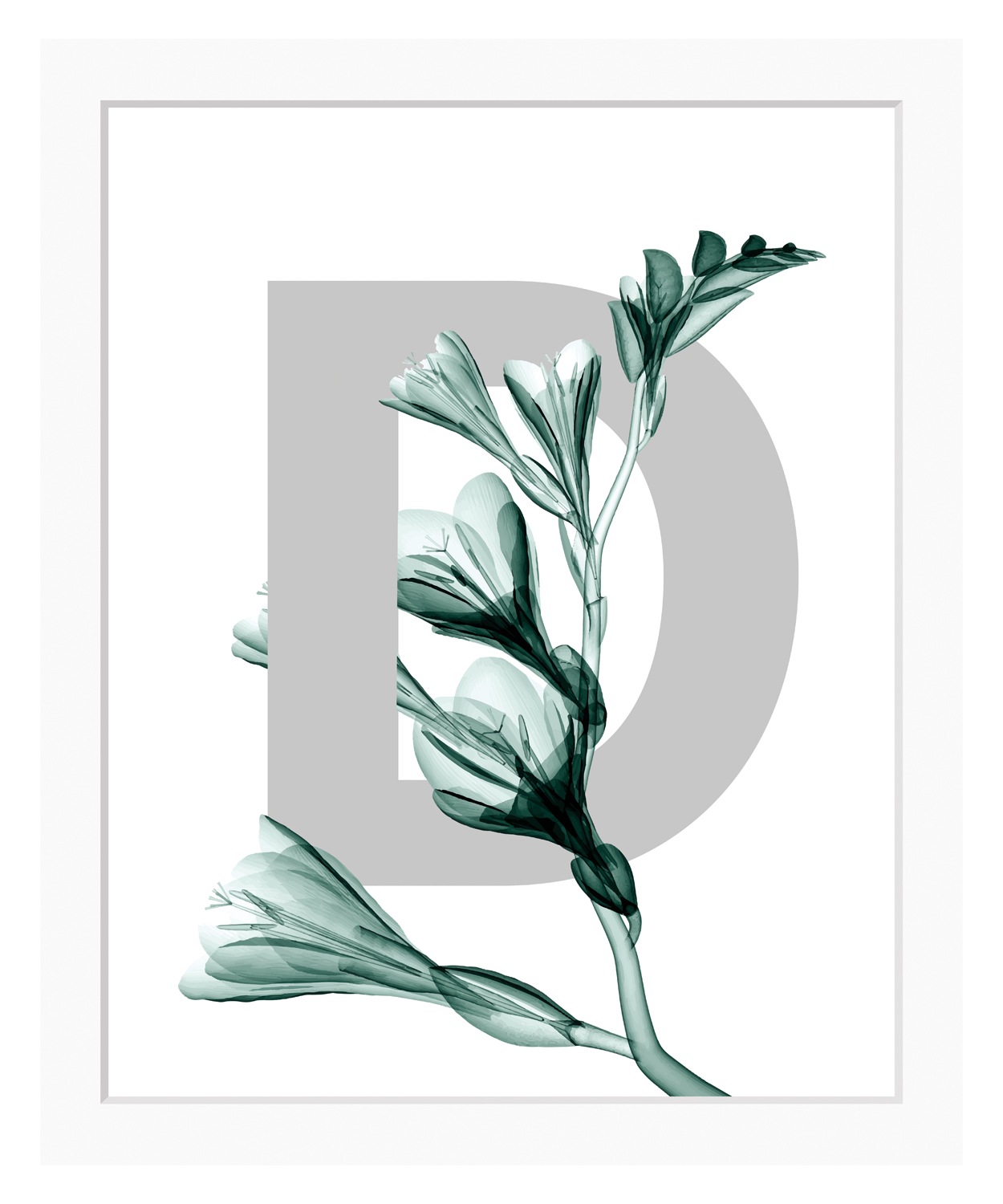 queence Bild »D-Flower«, Buchstaben, Blume, Blätter, gerahmt günstig online kaufen