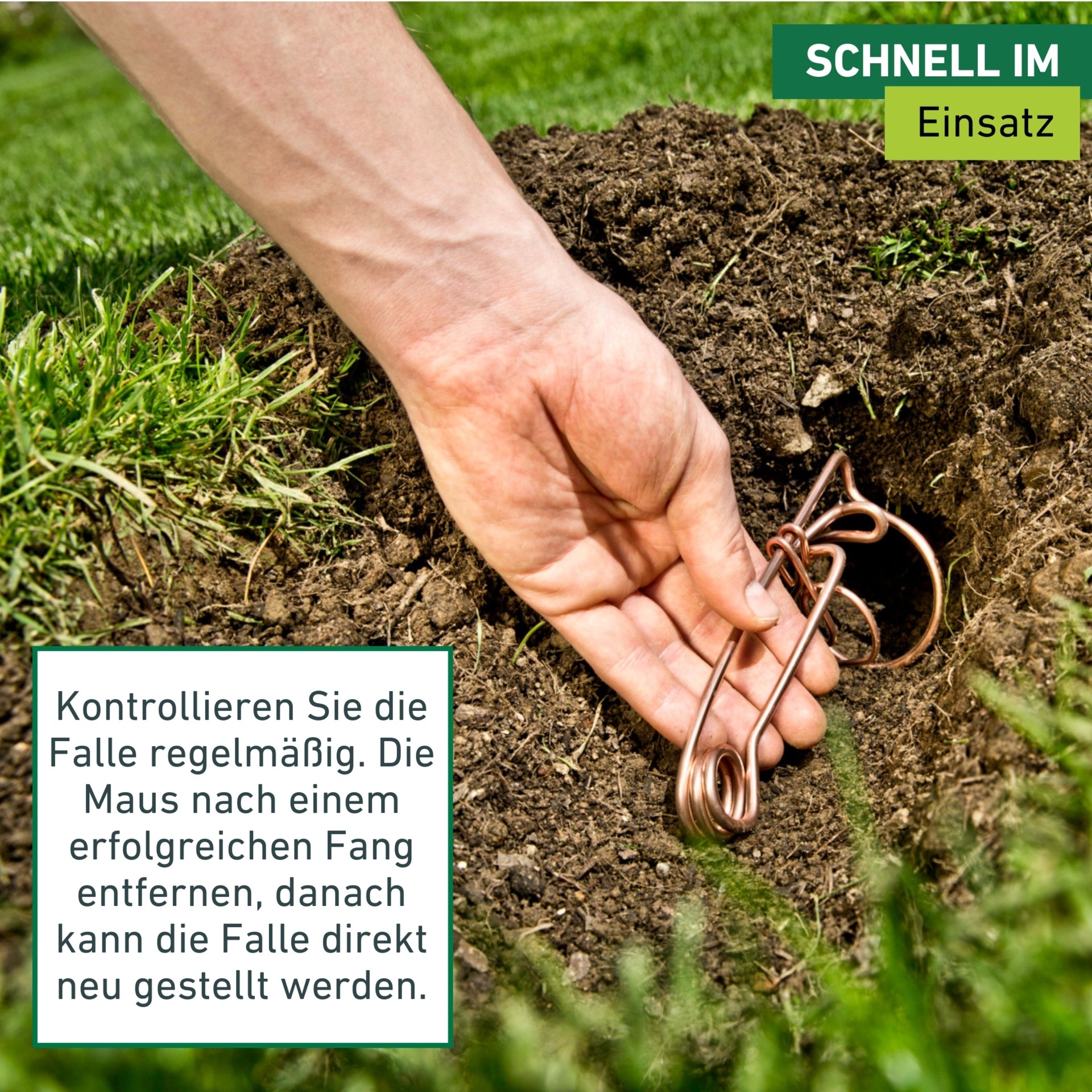 Windhager Schlagfalle »Draht-Wühlmausfalle im Doppelpack« Wühlmausbekämpfung robust,  Schnappfalle 6 x 14 x 9,5 cm, Kupfer