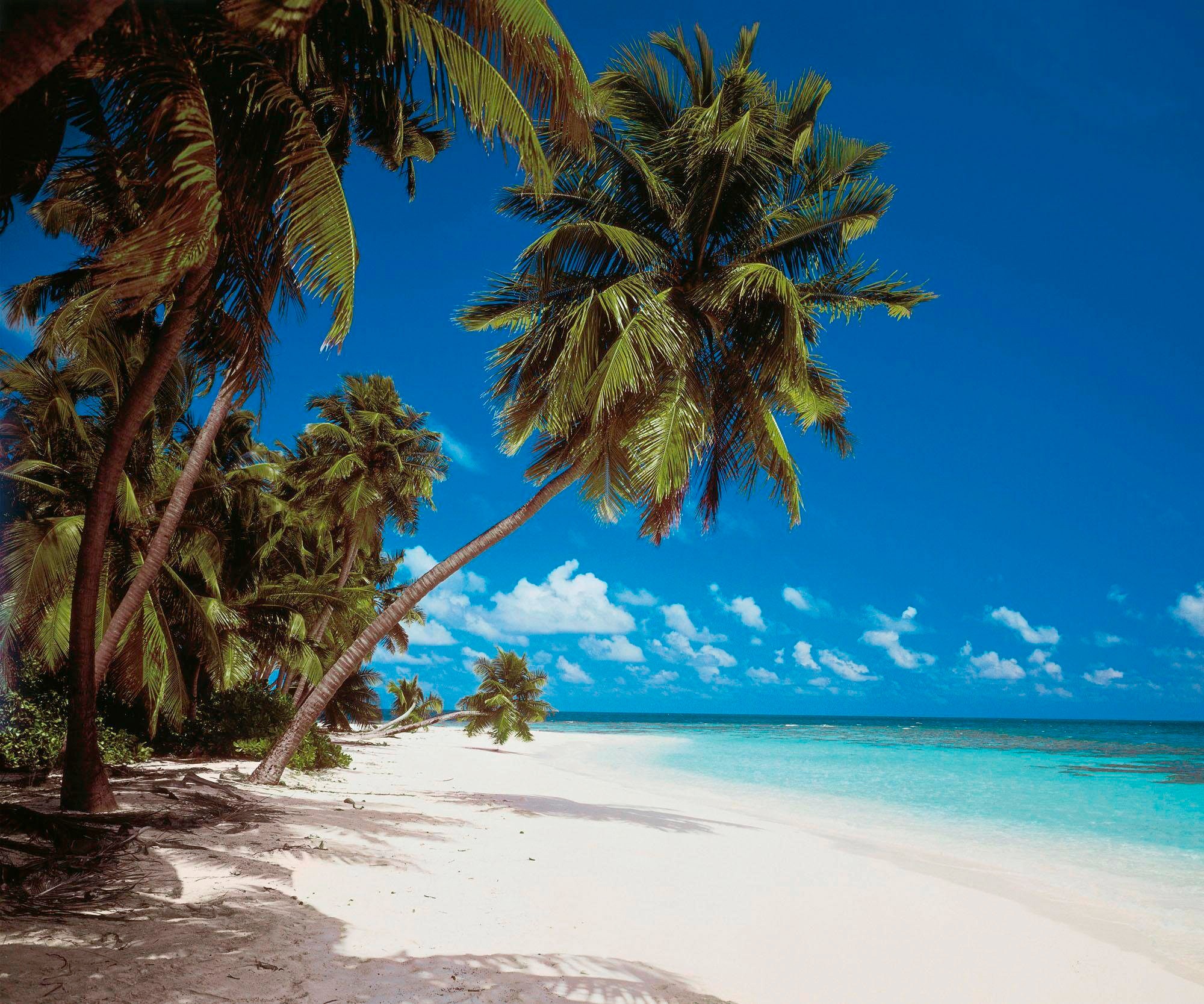 Komar Vliestapete »Digitaldruck Vlies - Maldives - Größe 300 x 250 cm«, bed günstig online kaufen
