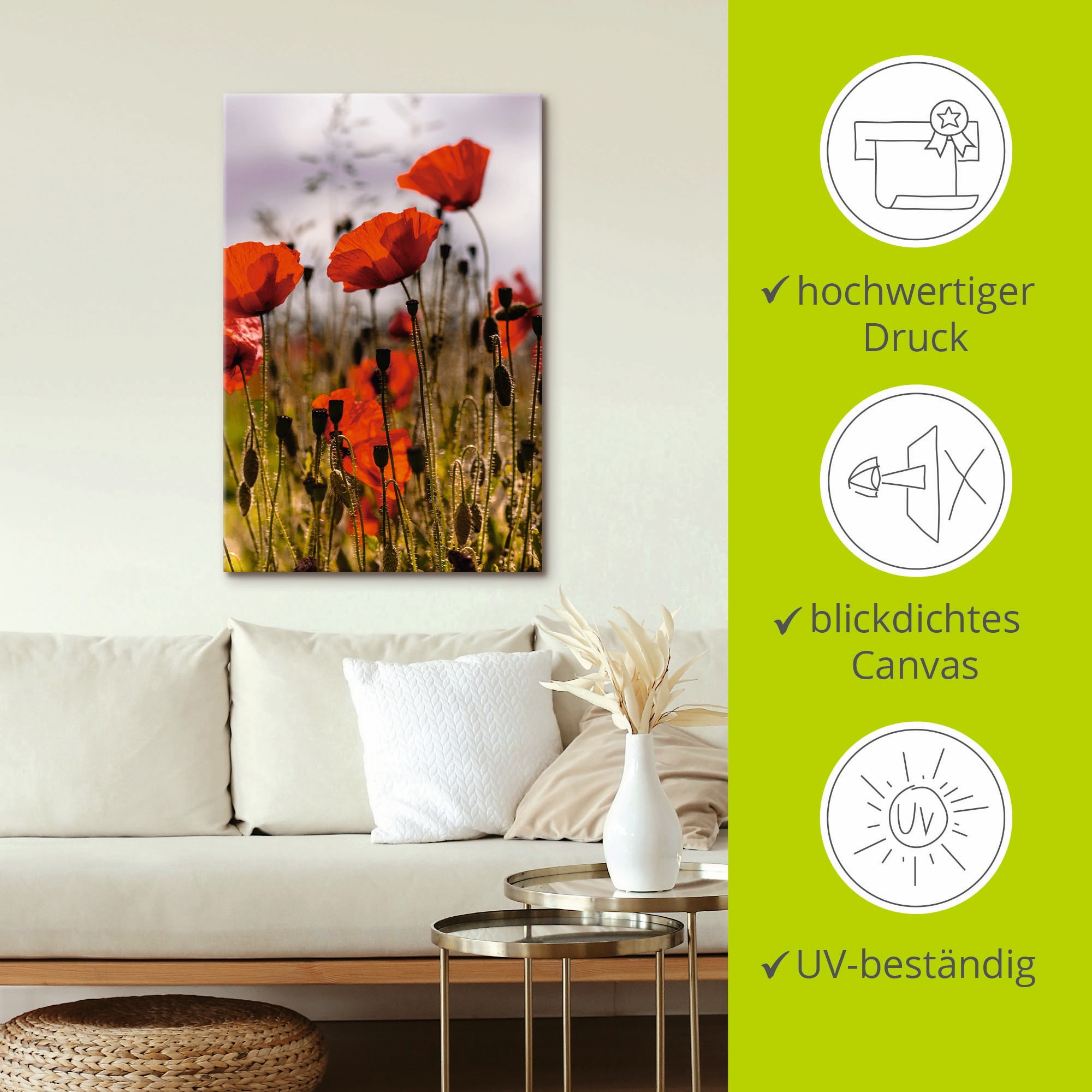 Artland Wandbild »Mohnblumen im Morgenlicht«, Blumenwiese, (1 St.), als Alubild, Outdoorbild, Leinwandbild, Poster in verschied. Größen