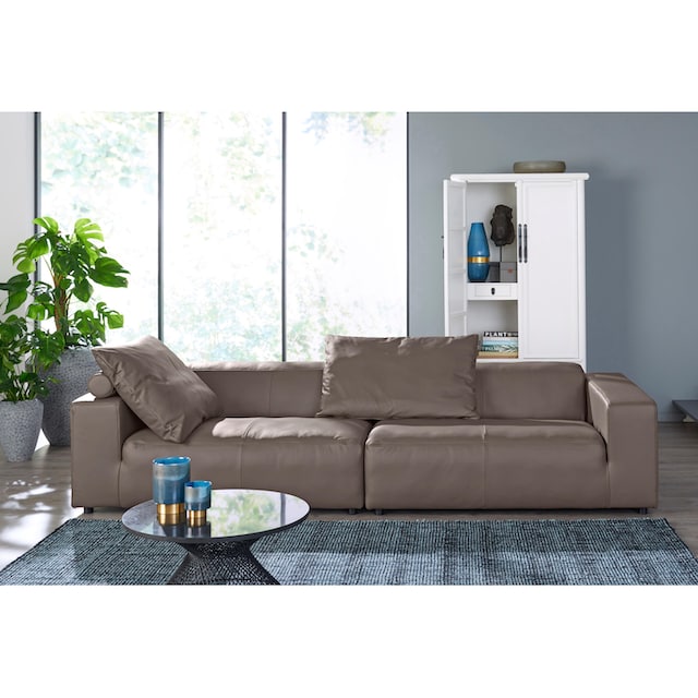 hülsta sofa 3-Sitzer »hs.432«, mit niedrigem Rücken, in 2 Bezugsqualitäten,  Breite 260 cm online kaufen