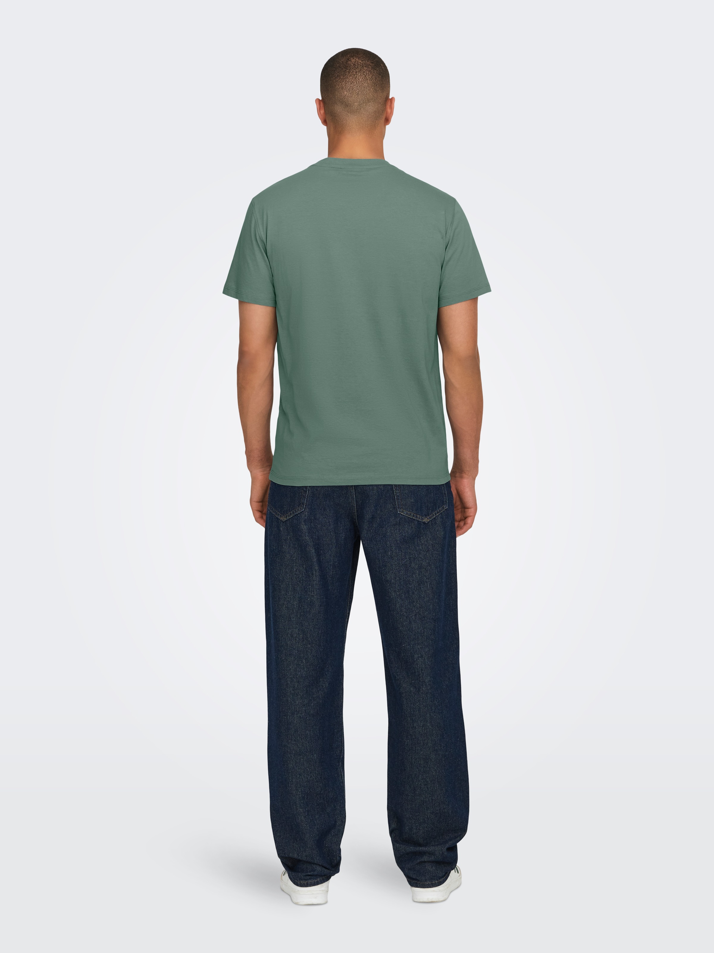 ONLY & SONS Rundhalsshirt »ONSMAX LIFE REG SS STITCH TEE«
