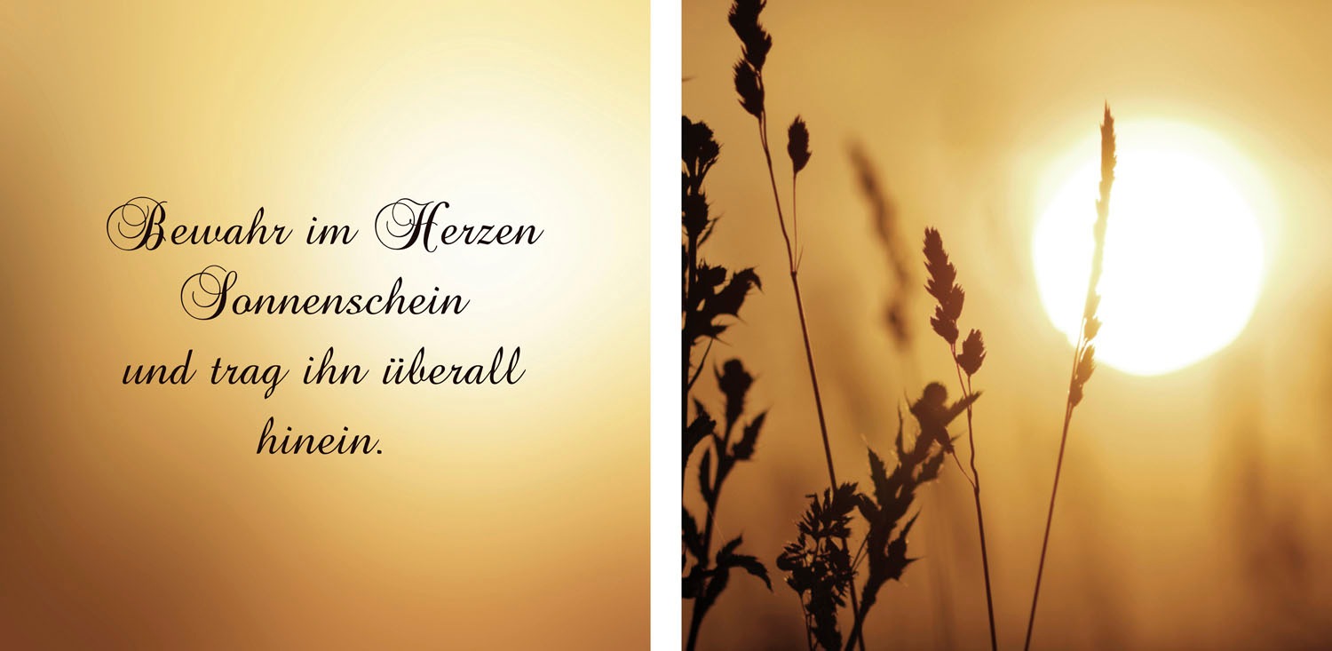queence Leinwandbild »Sonnenschein«, Gräser-Sonnenaufgang-Blumenbilder-Kuns günstig online kaufen
