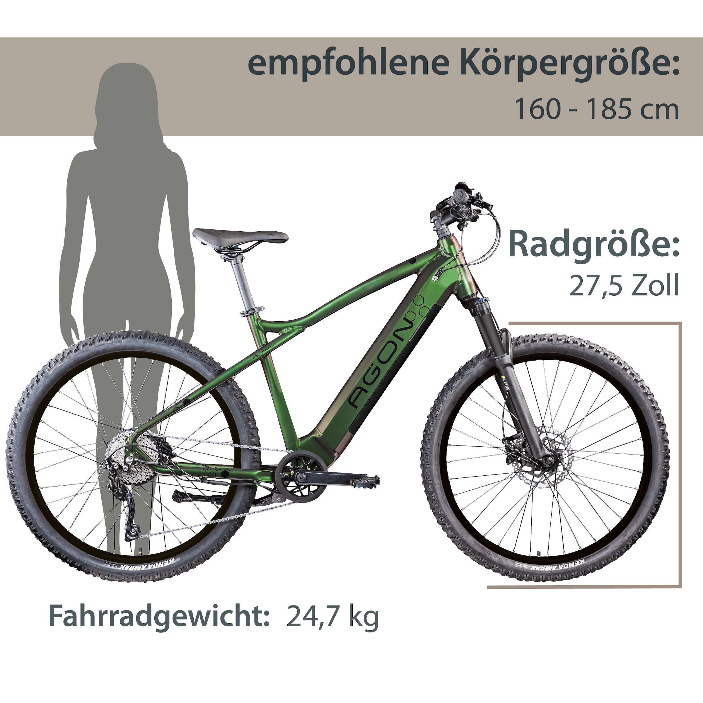 AGON E-Bike »Alpha«, 10 Gang, Deore SGS T6000, Heckmotor 250 W, Pedelec, Elektrofahrrad für Damen u. Herren, MTB