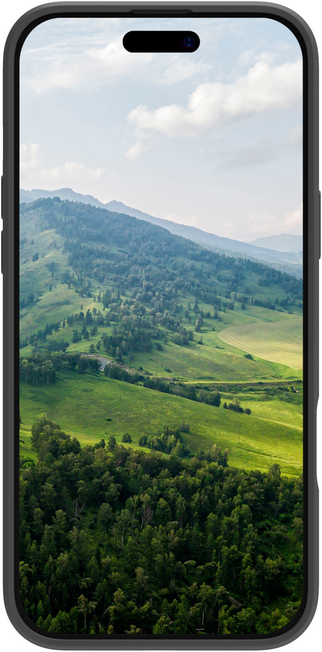 dbramante1928 Smartphone-Hülle »Greenland Pro Magsafe iPhone 16«, Smartphones