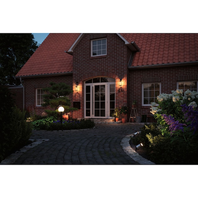 Paulmann LED Gartenleuchte »Plug&Shine«, 1 flammig-flammig, E14 24V IP44  Globe Anthrazit online kaufen