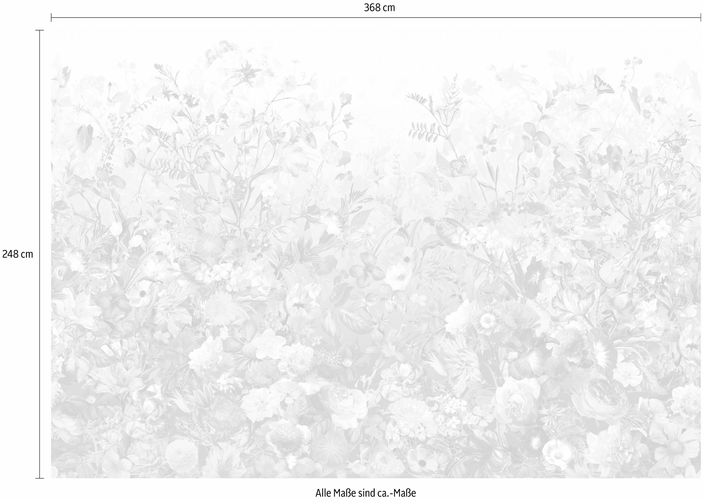 Komar Vliestapete »Botanica«, 368x248 cm (Breite x Höhe), inklusive Kleister  auf Rechnung kaufen