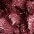 rot/lila