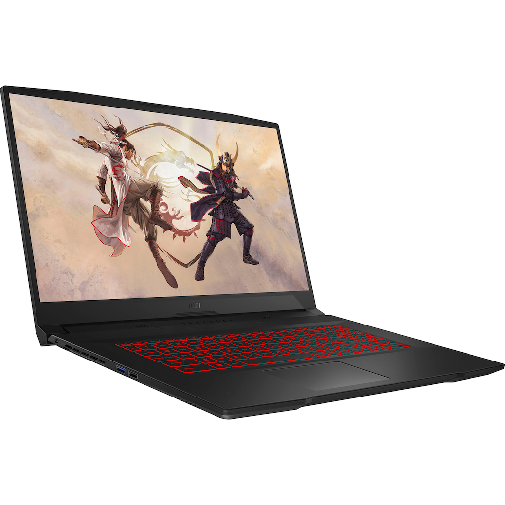 MSI Gaming-Notebook »Katana GF76 11UG-412«, 43,9 cm, / 17,3 Zoll, Intel, Core i7, GeForce RTX 3070, 1000 GB SSD