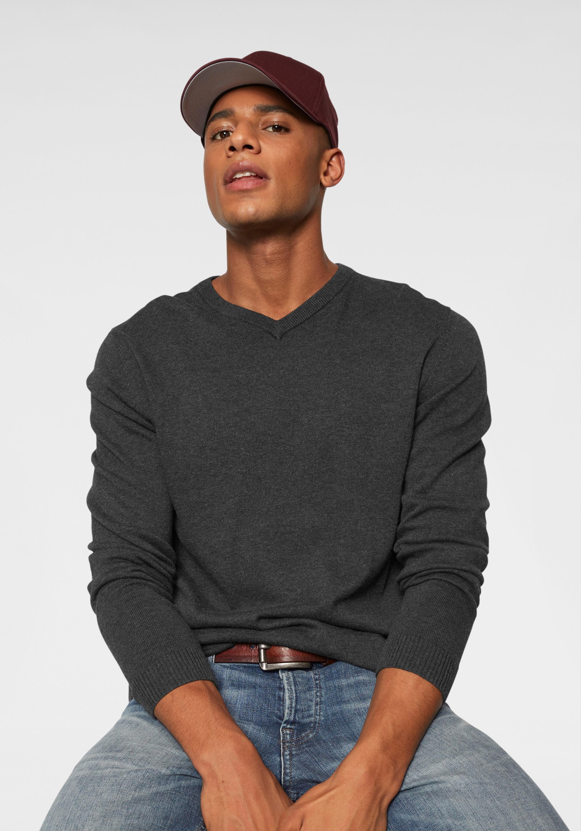 Jack & Jones V-Ausschnitt-Pullover »JJEBASIC KNIT V-NECK«