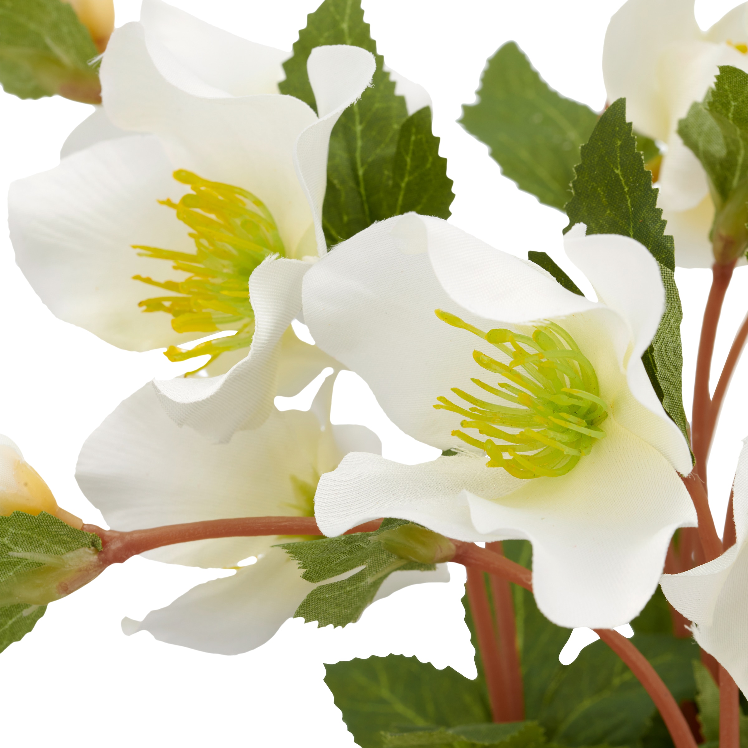 Creativ green Kunstblume »Christrose« mit üppiger Blütenpracht