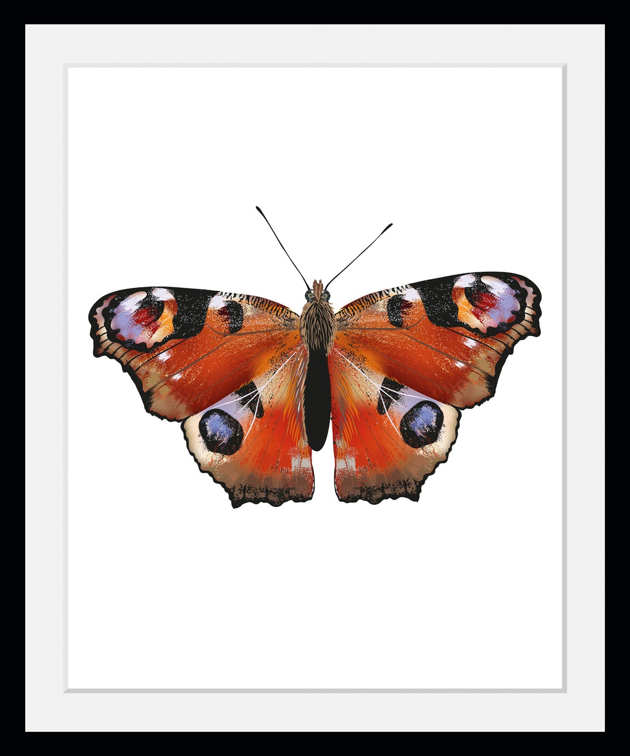 queence Bild »Lena« Insekten   Kunst   Schmetterlinge   historische Ereigni günstig online kaufen