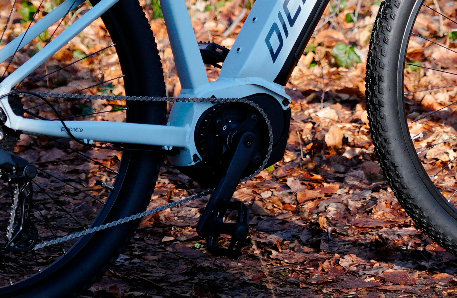 Prophete »Dice 3.8« 10 Gang Shimano Cues Schaltwerk Kettenschaltung Mittelmotor 250 W