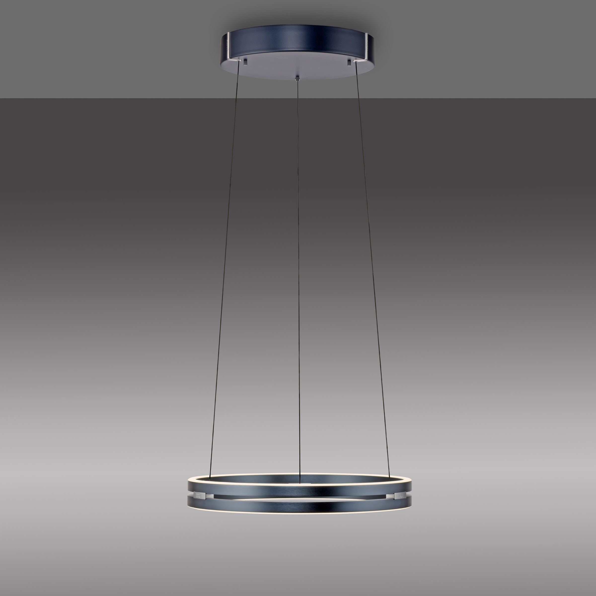 Neuhaus PURE LED Pendelleuchte »PURE E-Loop« LED-Board 1 Stk. warmweiß - kaltweiß e-LIFT® Funktion, CCT, dimmbar über Fernbedienung