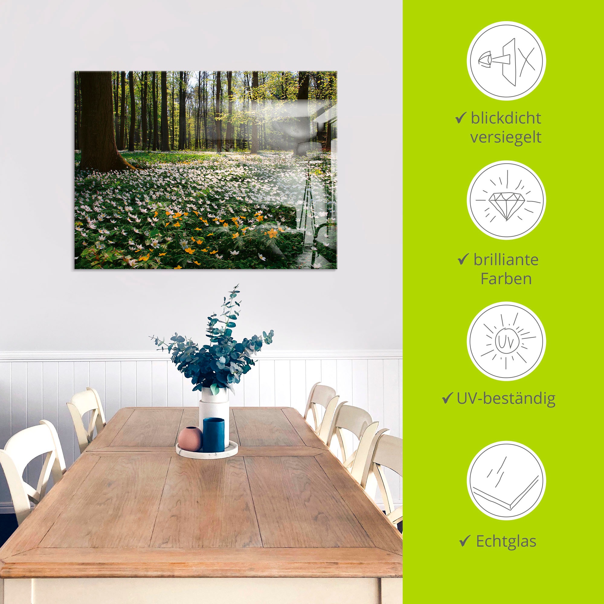 Artland Glasbild »Frühlingswald bedeckt mit Windröschen«, Wald, (1 St.), in verschiedenen Größen