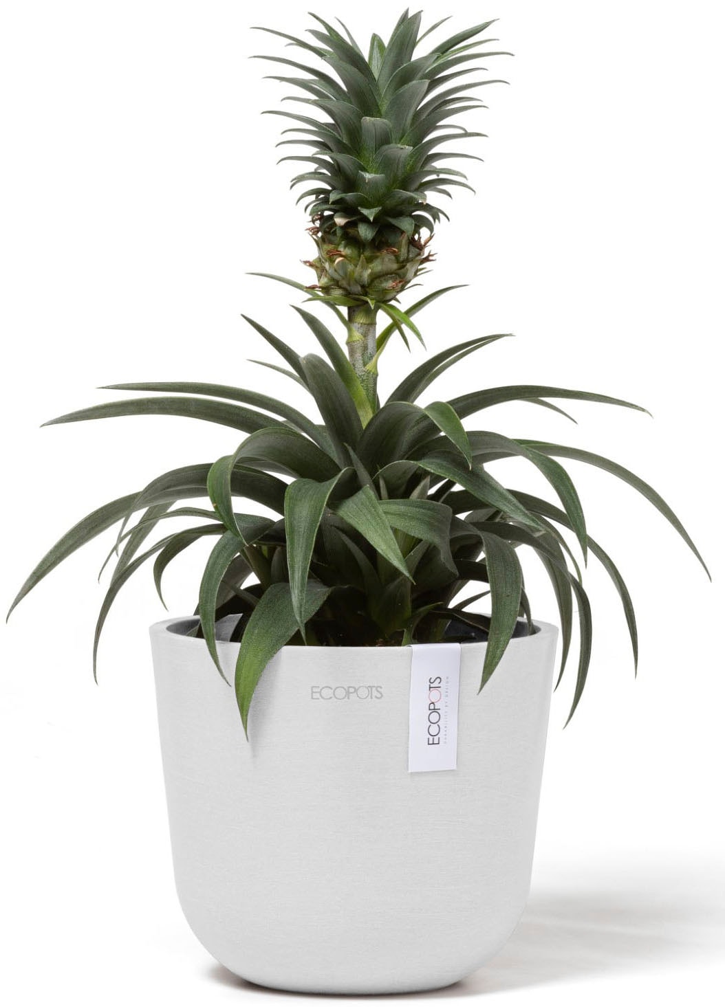 ECOPOTS Blumentopf »Oslo Mini 16 Weiß« für den Innenbereich
