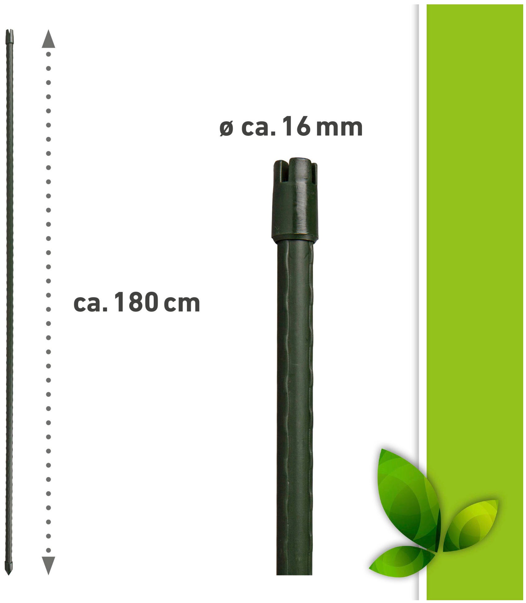 Windhager Rankhilfe, (Set, 10 St.), Tomatenstäbe, grün, H: 180 cm