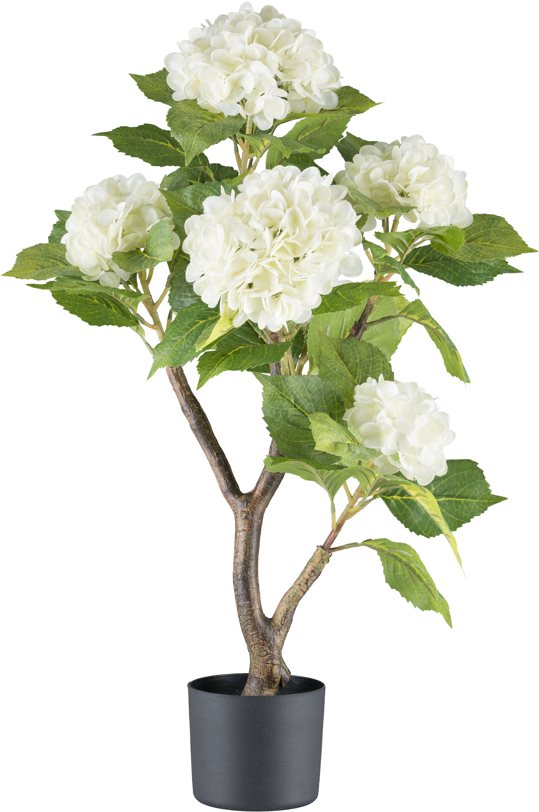 Creativ green Kunstblume »Hortensie«, mit real-touch-Blüten günstig online kaufen