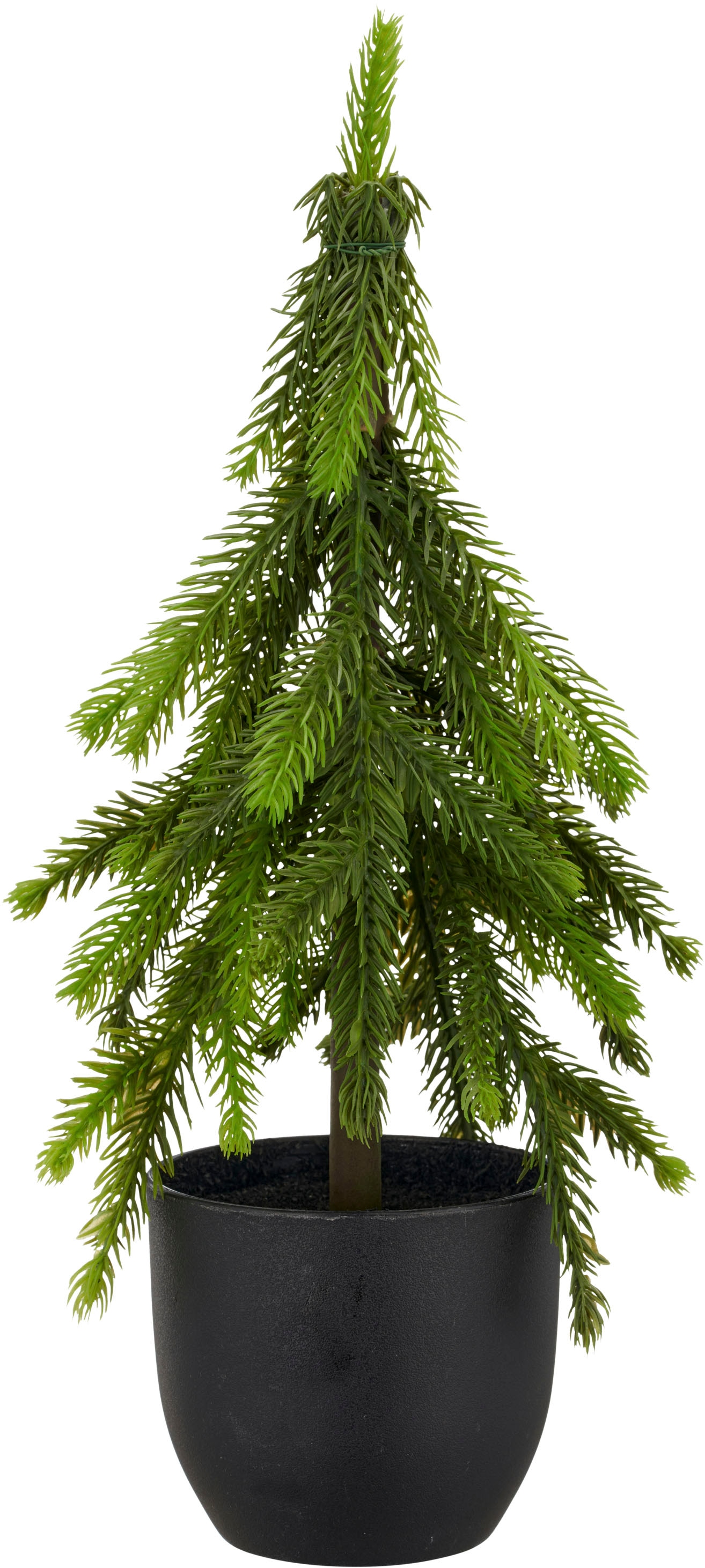 Creativ green Winterliche Kunstpflanze »Tannenbäumchen« im Set aus 2 Größen