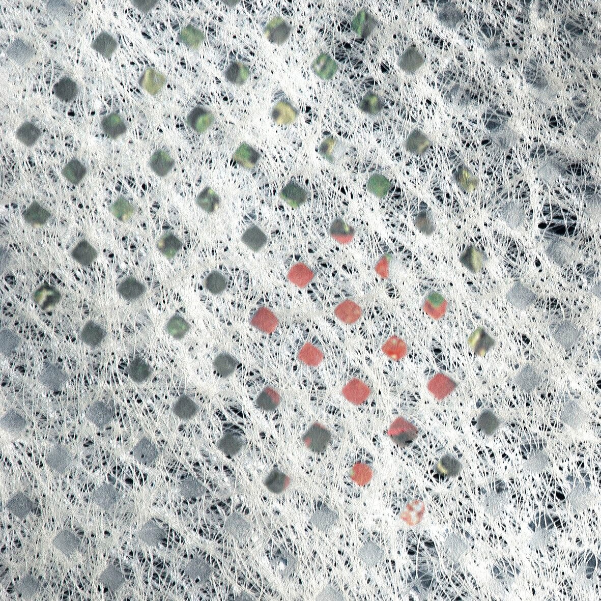 Windhager Winterschutzvlies »Wachstumsvlies« Tomaten-Vliesschlauch, 1000x65 cm