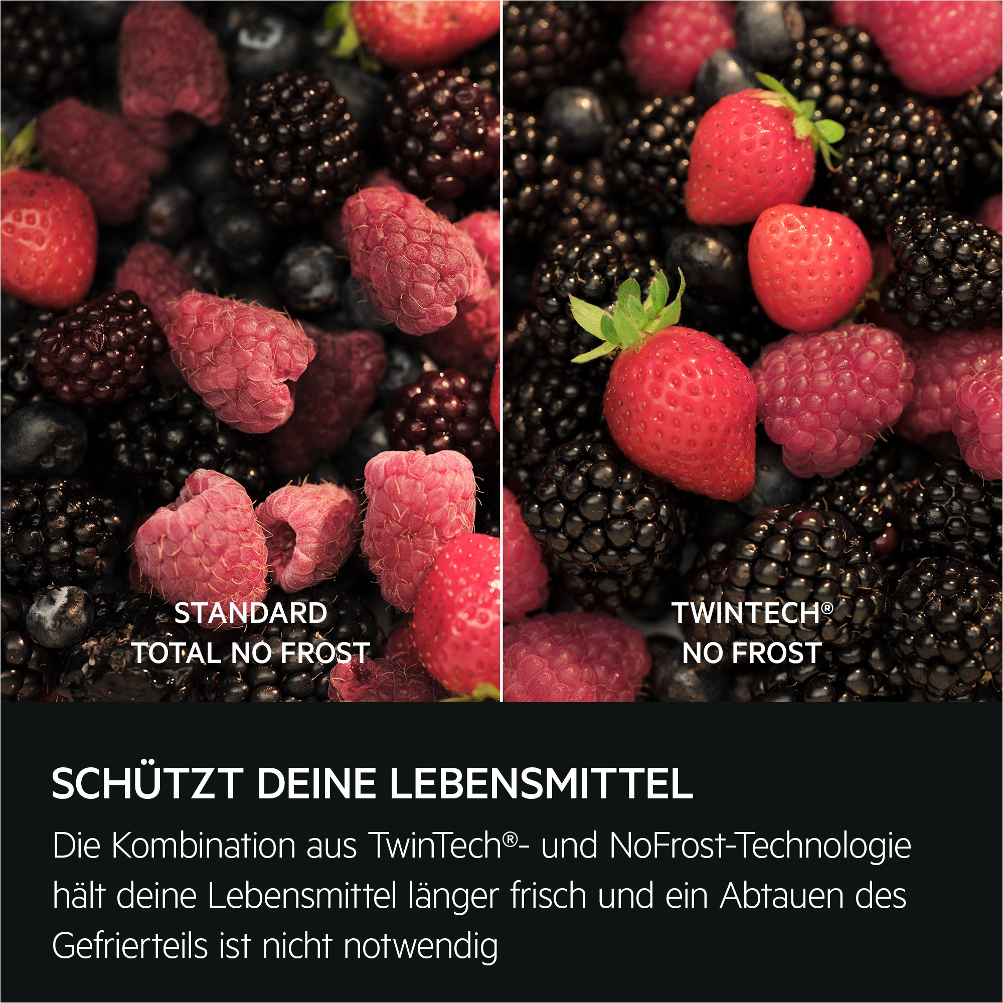 AEG Einbaukühlgefrierkombination Serie 8000 »TSC8M18WCC«, 360° Cooling, GreenZone- und ExtraChill-Schublade, NoFrost, Festtür