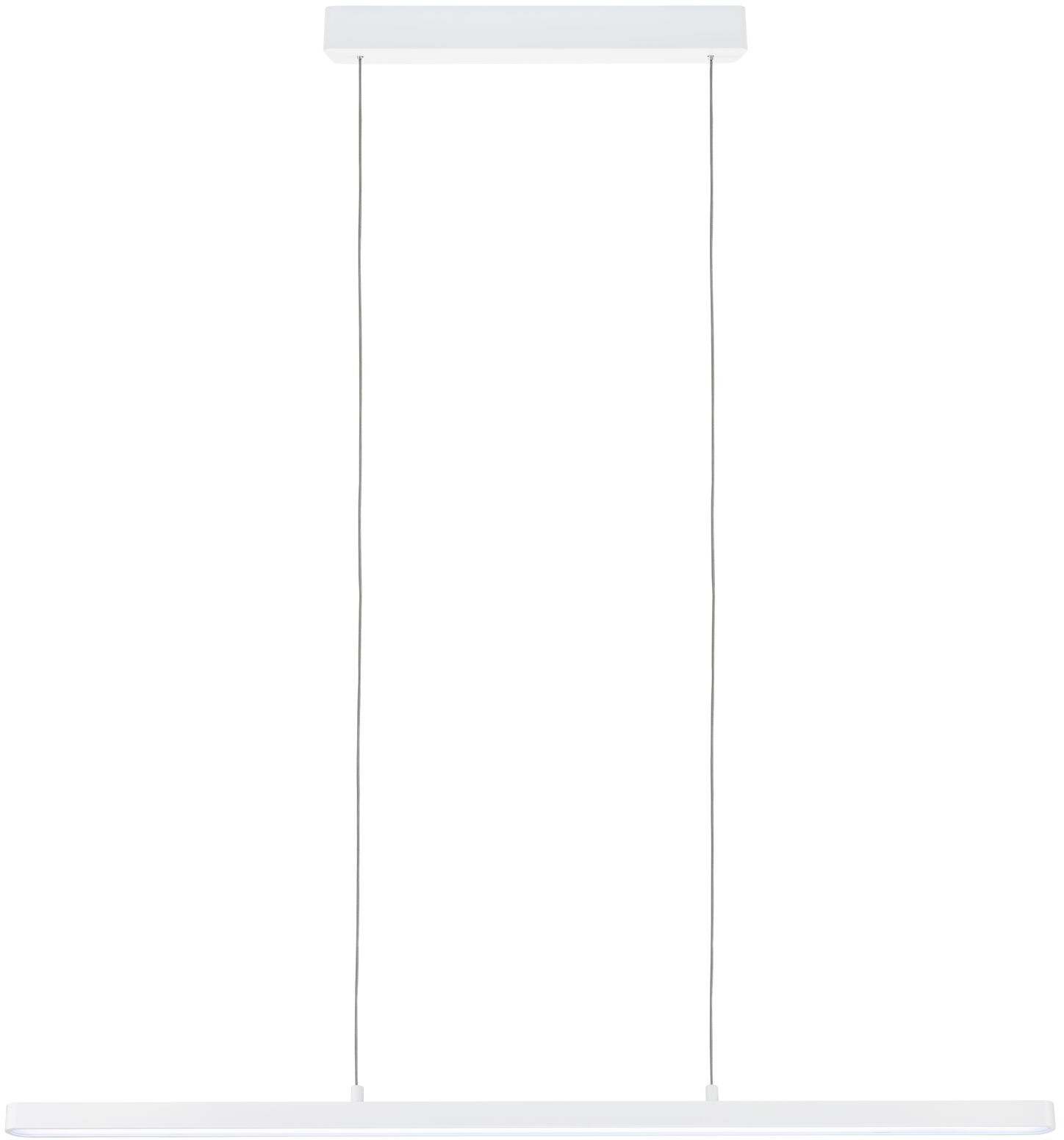 Paulmann LED Pendelleuchte »Lento«, 1 flammig