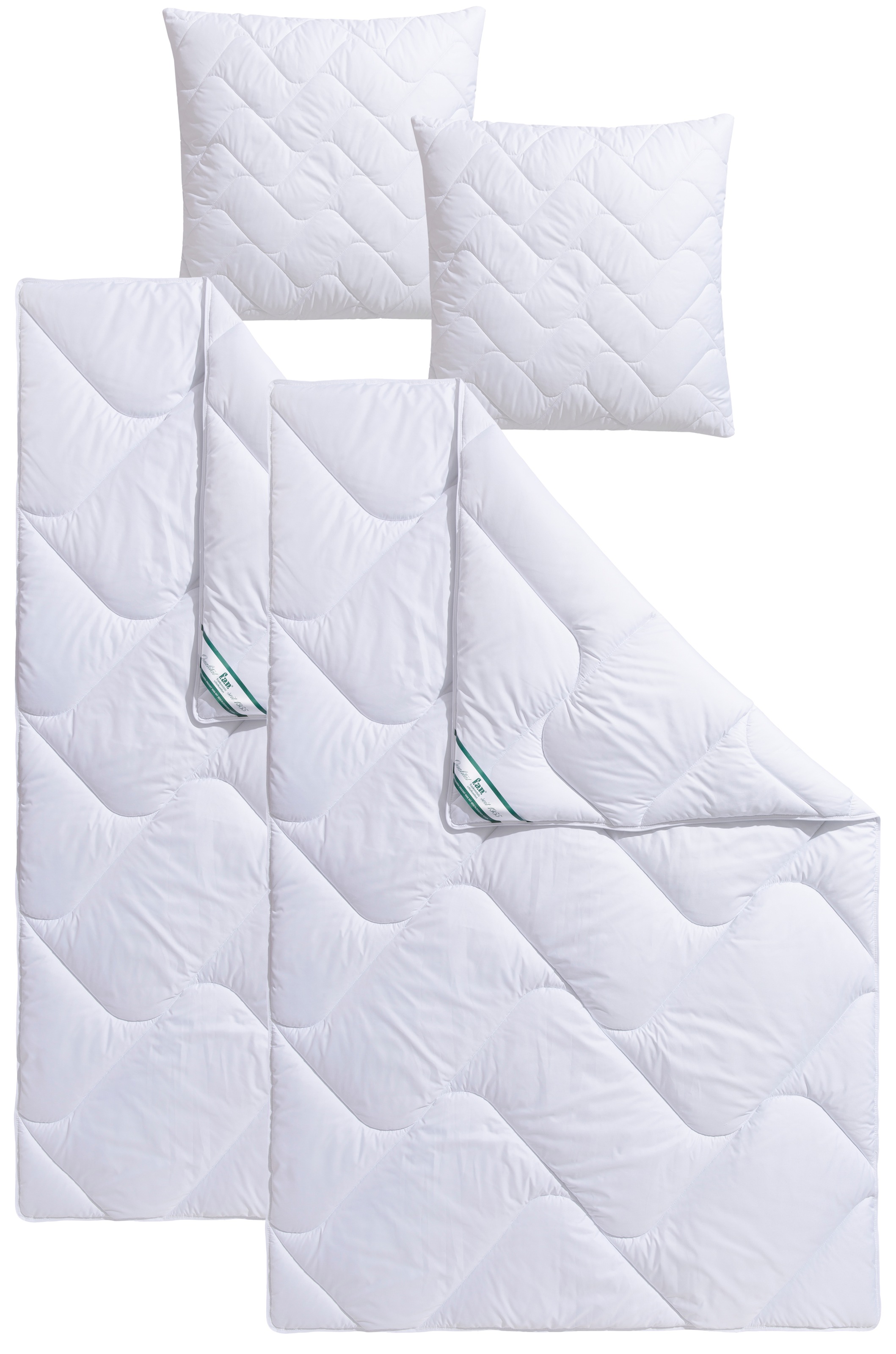 fan Microfaserbettdecke + Kopfkissen »Bettwaren-Set in 135x200 cm, für Sommer oder 4-Jahreszeiten«, (Spar-Set, 4-Tlg.)