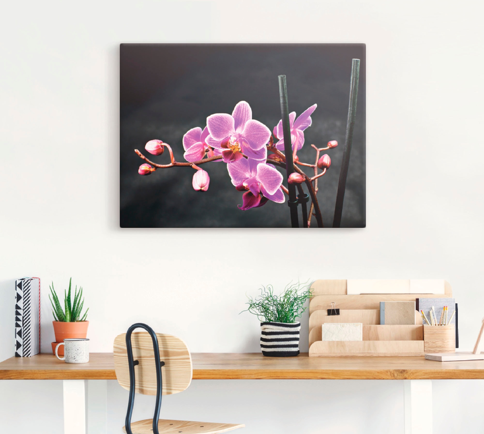 Artland Wandbild »Eine Orchidee vor schwarzem Hintergrund«, Blumen, (1 St.), als Leinwandbild, Poster, Wandaufkleber in verschied. Größen
