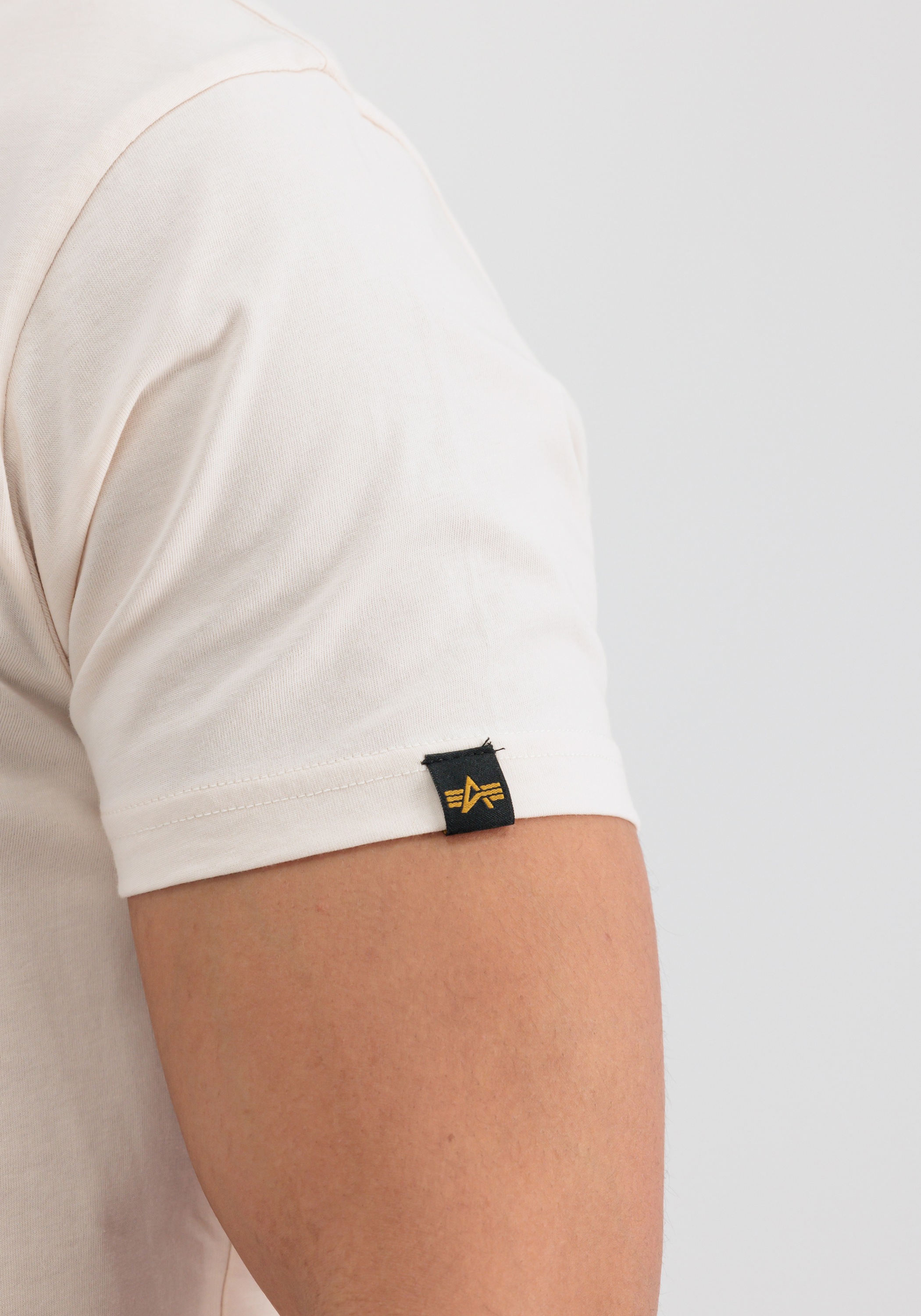 Alpha Industries T-Shirt »Basic T-Shirt Embroidery«