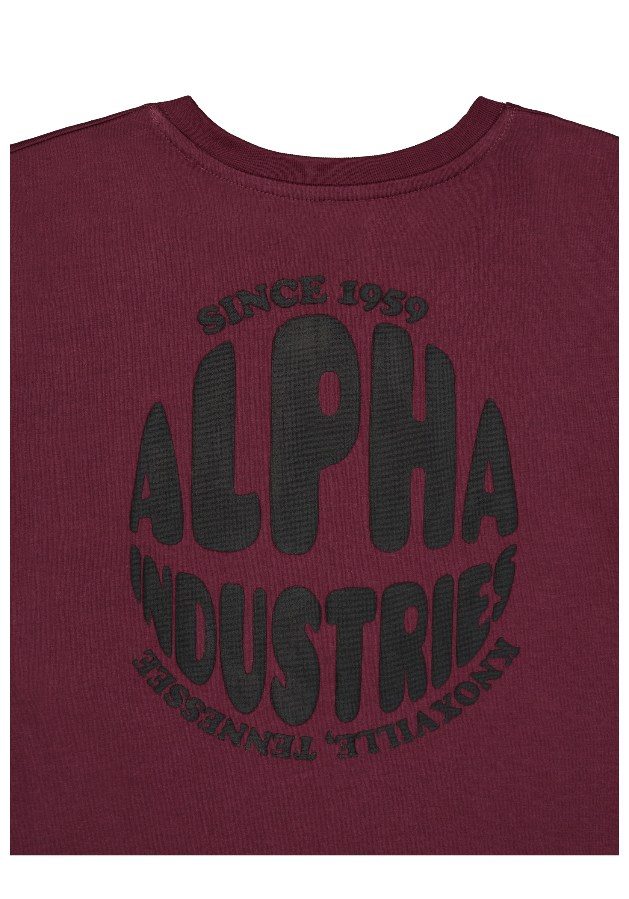 Alpha Industries T-Shirt »Alpha Industries Kids - T-Shirts Logo Backprint T-Shirt K«