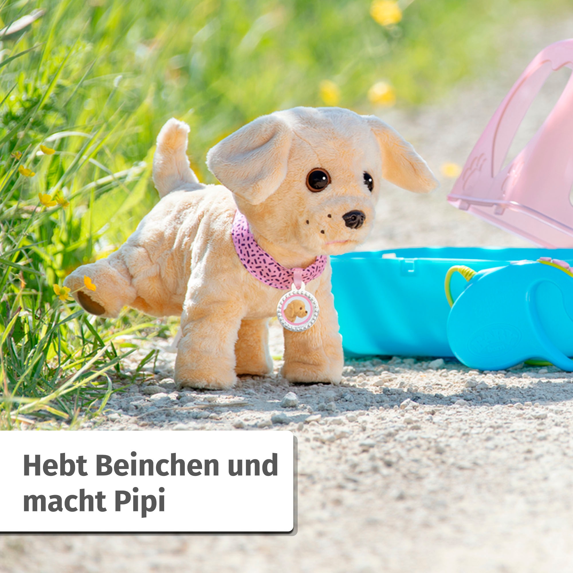 Baby Born Plüschfigur »Mein Hund Lucky mit Box«