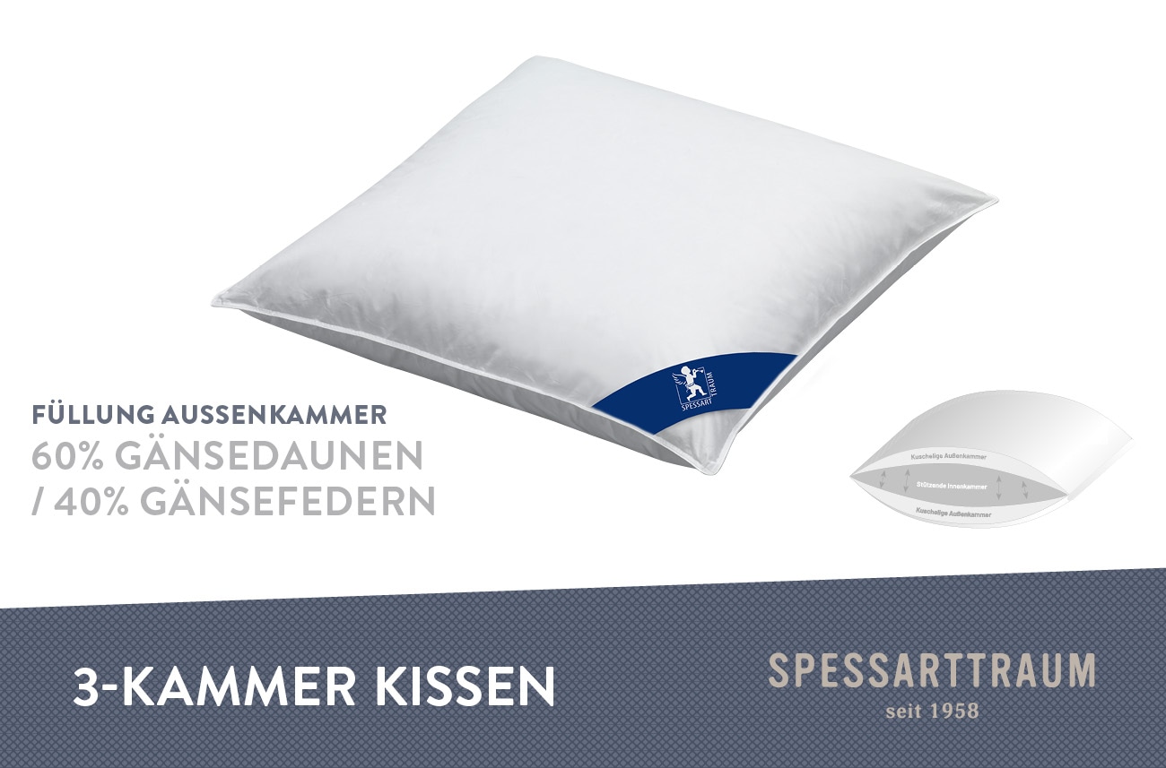 SPESSARTTRAUM 3-Kammer-Kopfkissen »Premium«, Füllung: 60% Gänsedaunen / 40% Gänsefedern, Klasse 1, Downpass zertifiziert (Außenkammern), Bezug: 100% Baumwolle, nachhaltig (Made in Green), Hausstauballergiker geeignet, (1 St.), gute Stützkraft