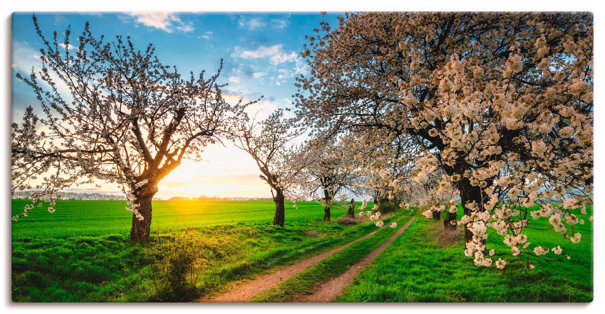 Artland Wandbild »Kirschallee« Felder 1 Stk. tlg. auf Holzrahmen gespannt günstig online kaufen