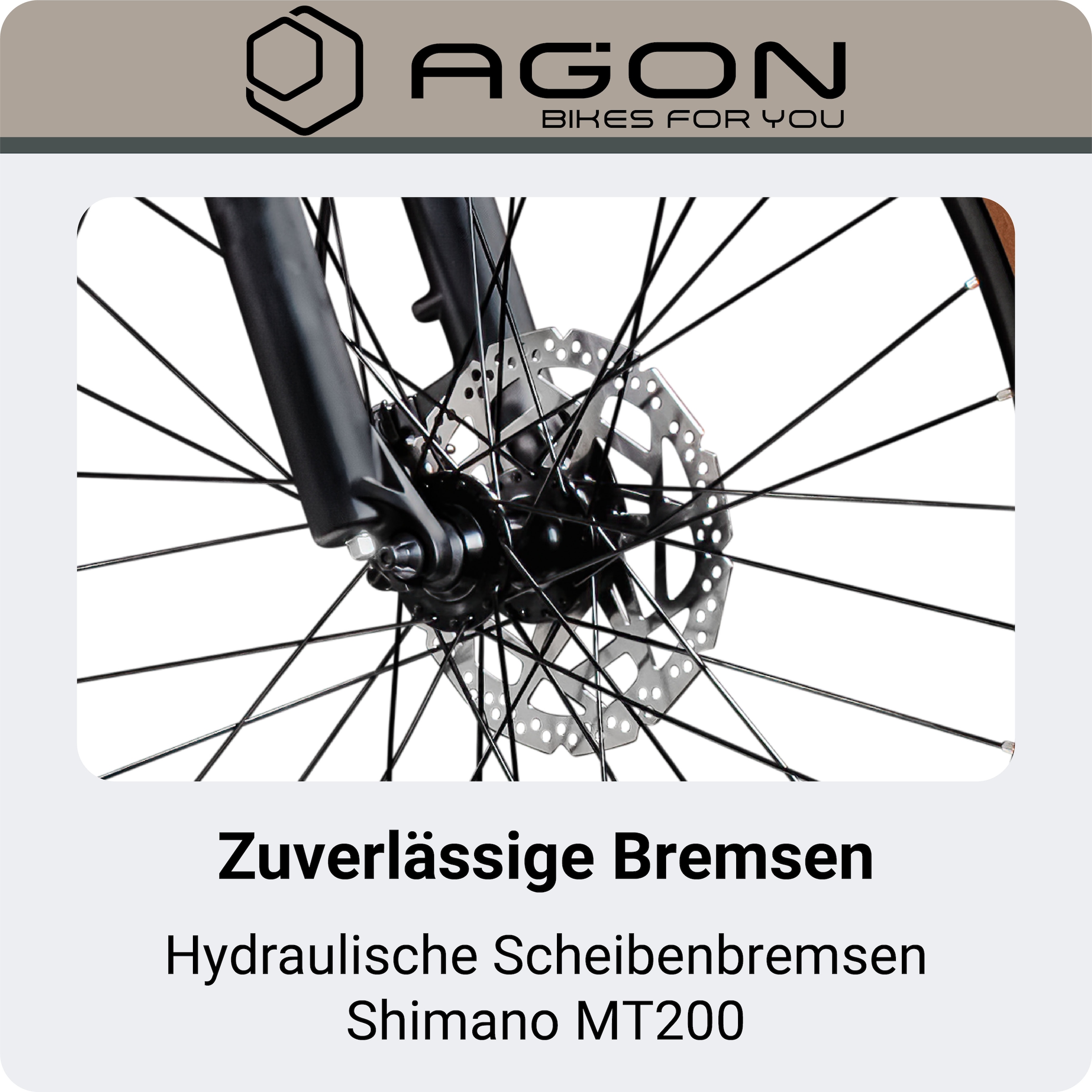 AGON »Alpha« 10 Gang Deore SGS T6000 Schaltwerk Kettenschaltung Heckmotor 250 W Pedelec, Elektrofahrrad für Damen u. Herren, MTB