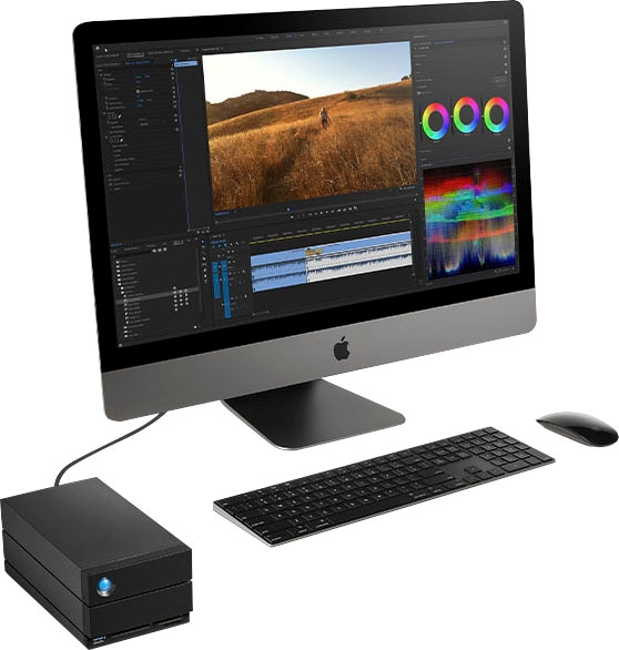LaCie HDD-NAS-Festplatte »2big Dock Thunderbolt™3« 40 TB Anschluss DisplayPort | SD-/CF-Kartensteckplätze | Thunderbolt 3 | USB 3.2 Gen-2