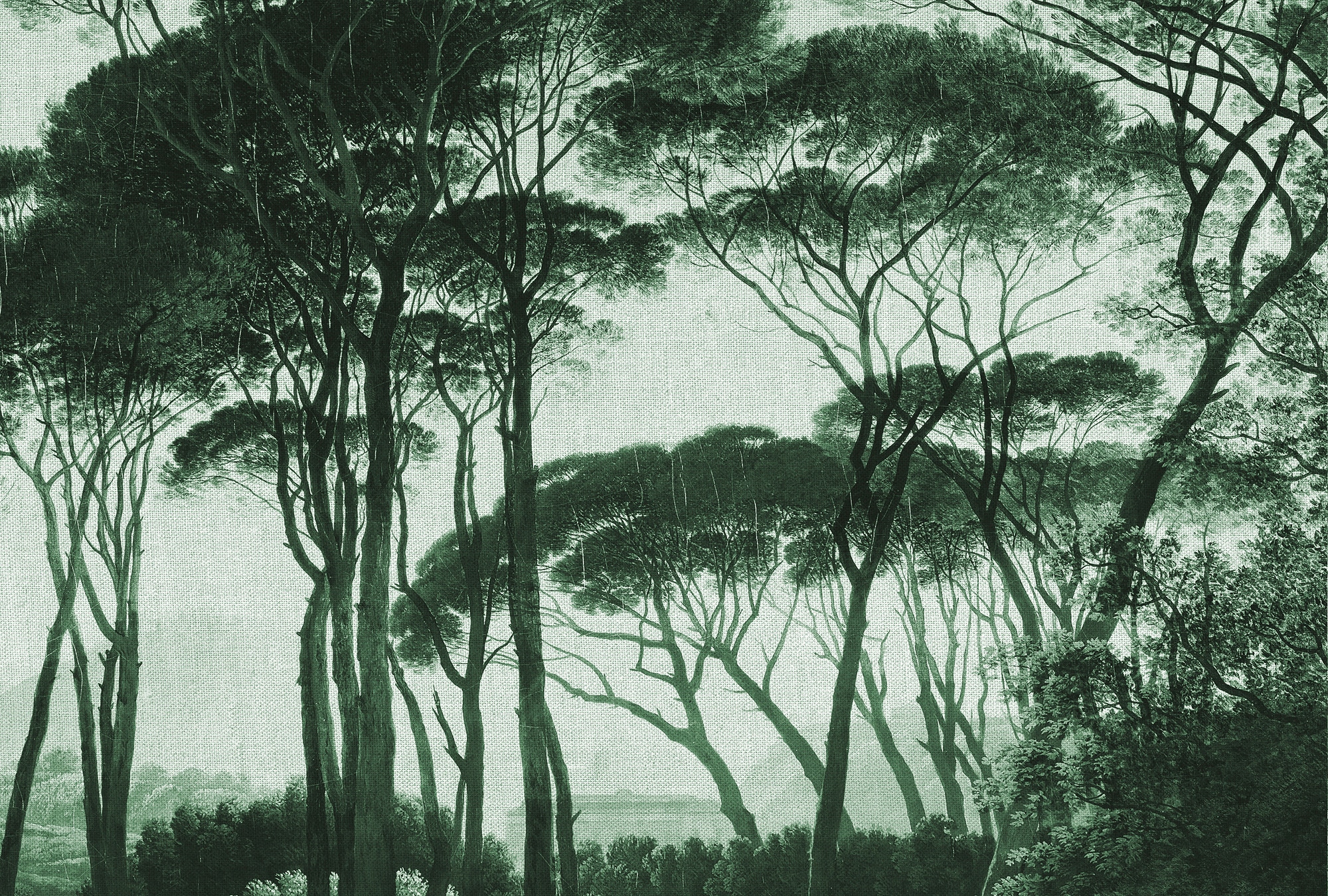 Architects Paper Fototapete »Atelier 47 Treetops 2« Wald glatt Vlies, Wand, günstig online kaufen