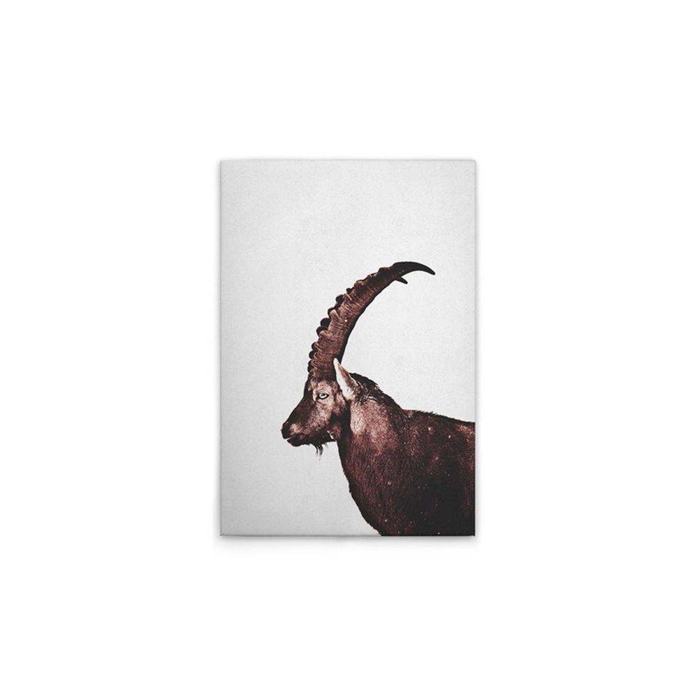 A.S. Création Leinwandbild »Capricorn Snow - Wandbild Grau Braun Keilrahmen günstig online kaufen