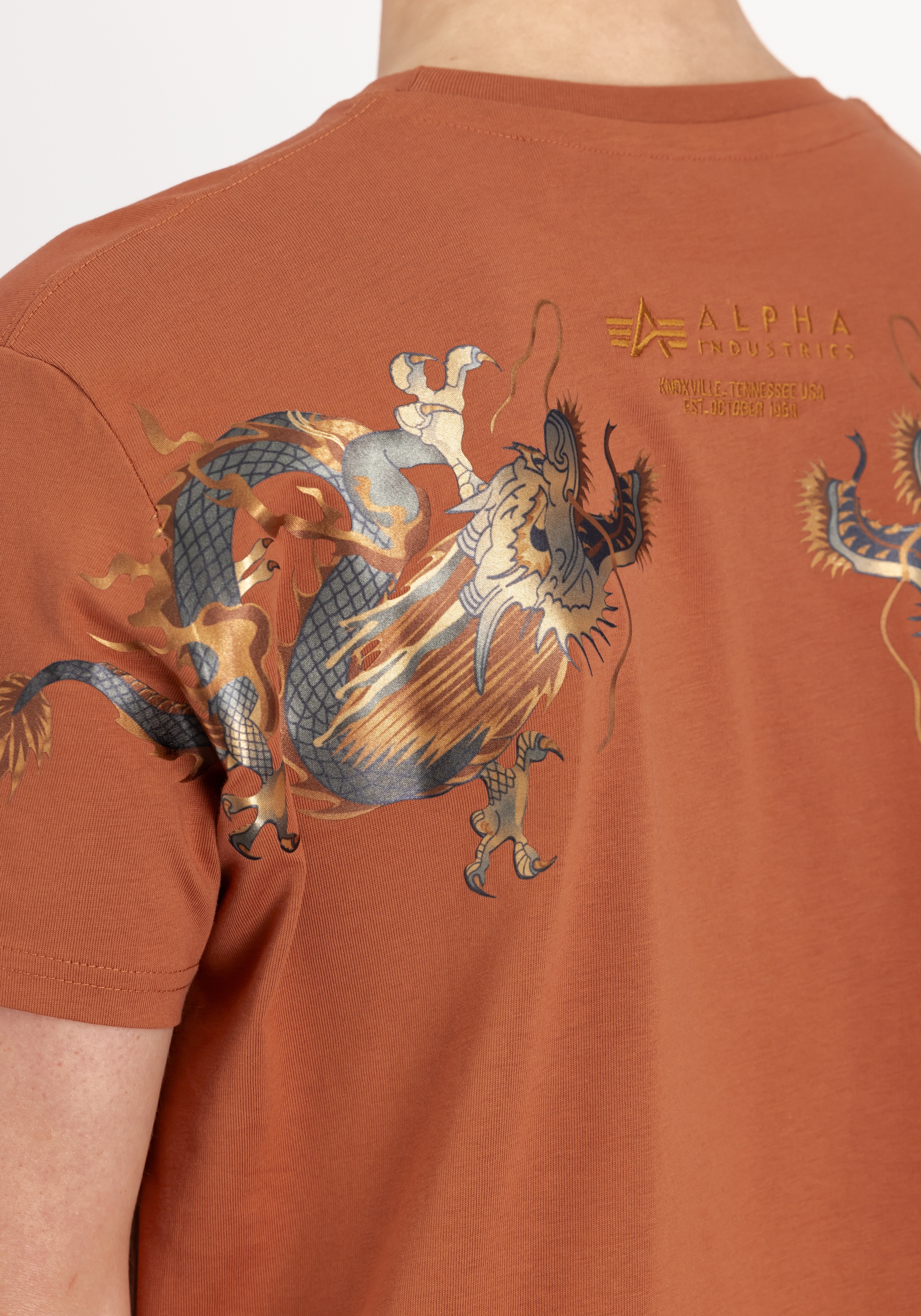Alpha Industries T-Shirt »ALPHA INDUSTRIES Men - T-Shirts Dragon EMB T«