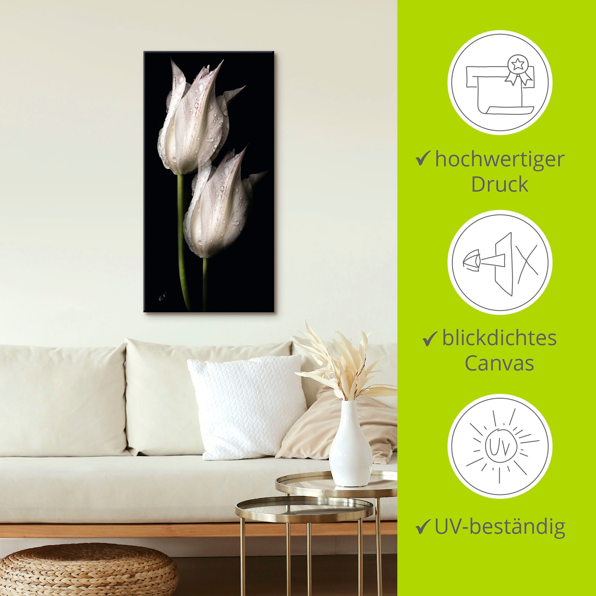 Artland Wandbild »Weiße Tulpen in der Nacht«, Blumenbilder, (1 St.), als Alubild, Outdoorbild, Leinwandbild, Poster, Wandaufkleber