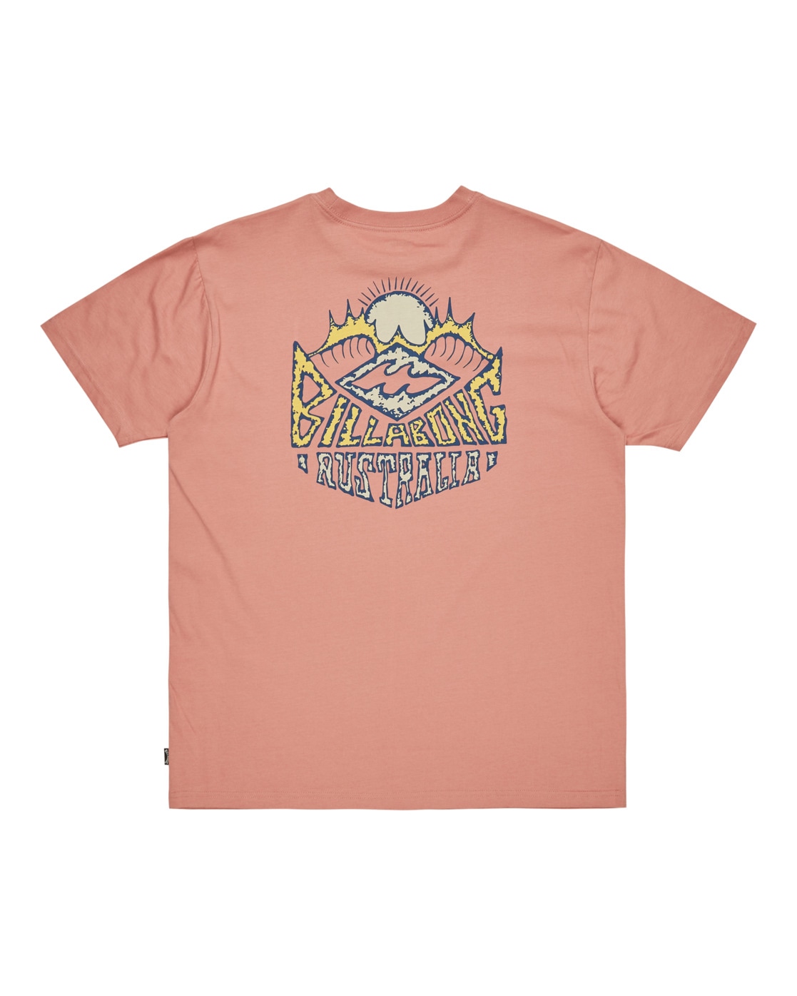 Billabong T-Shirt »Homegrown«