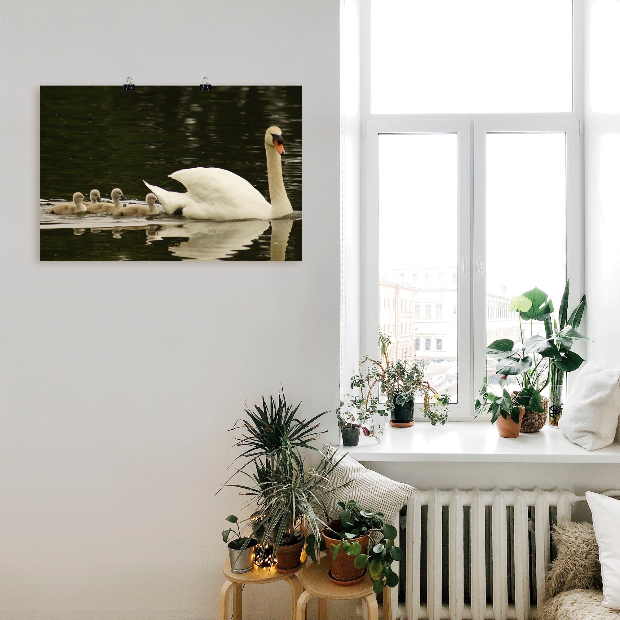 Artland Wandbild »Schwanen Familie«, Schwanen Bilder, (1 St.), als Alubild, Leinwandbild, Wandaufkleber oder Poster in versch. Größen