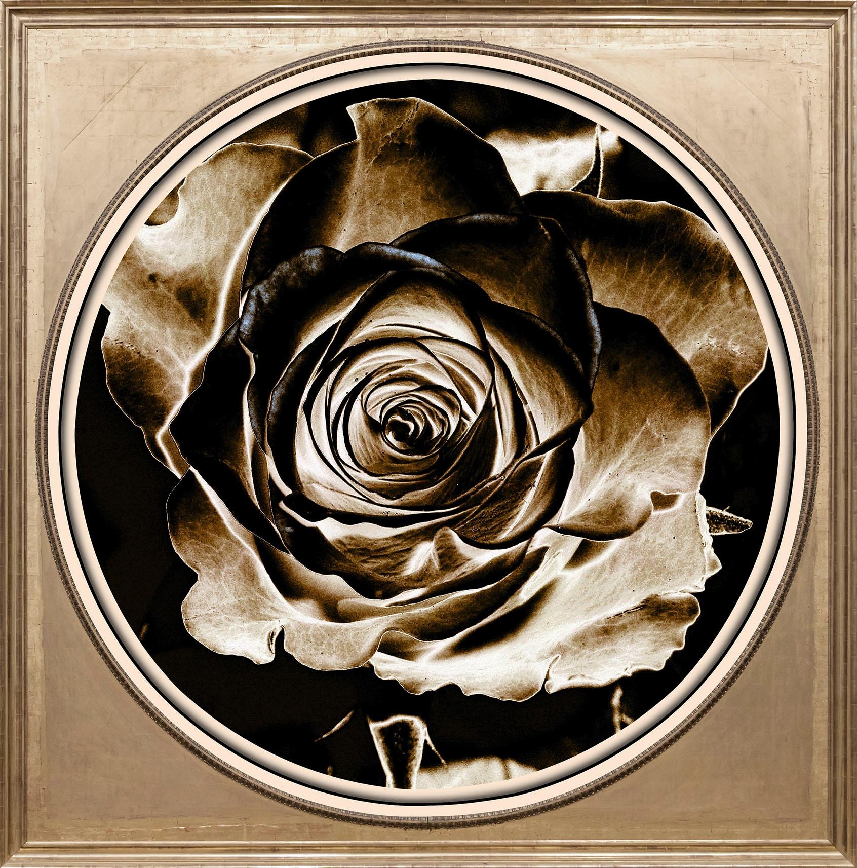 queence Acrylglasbild »Rose Sepia«