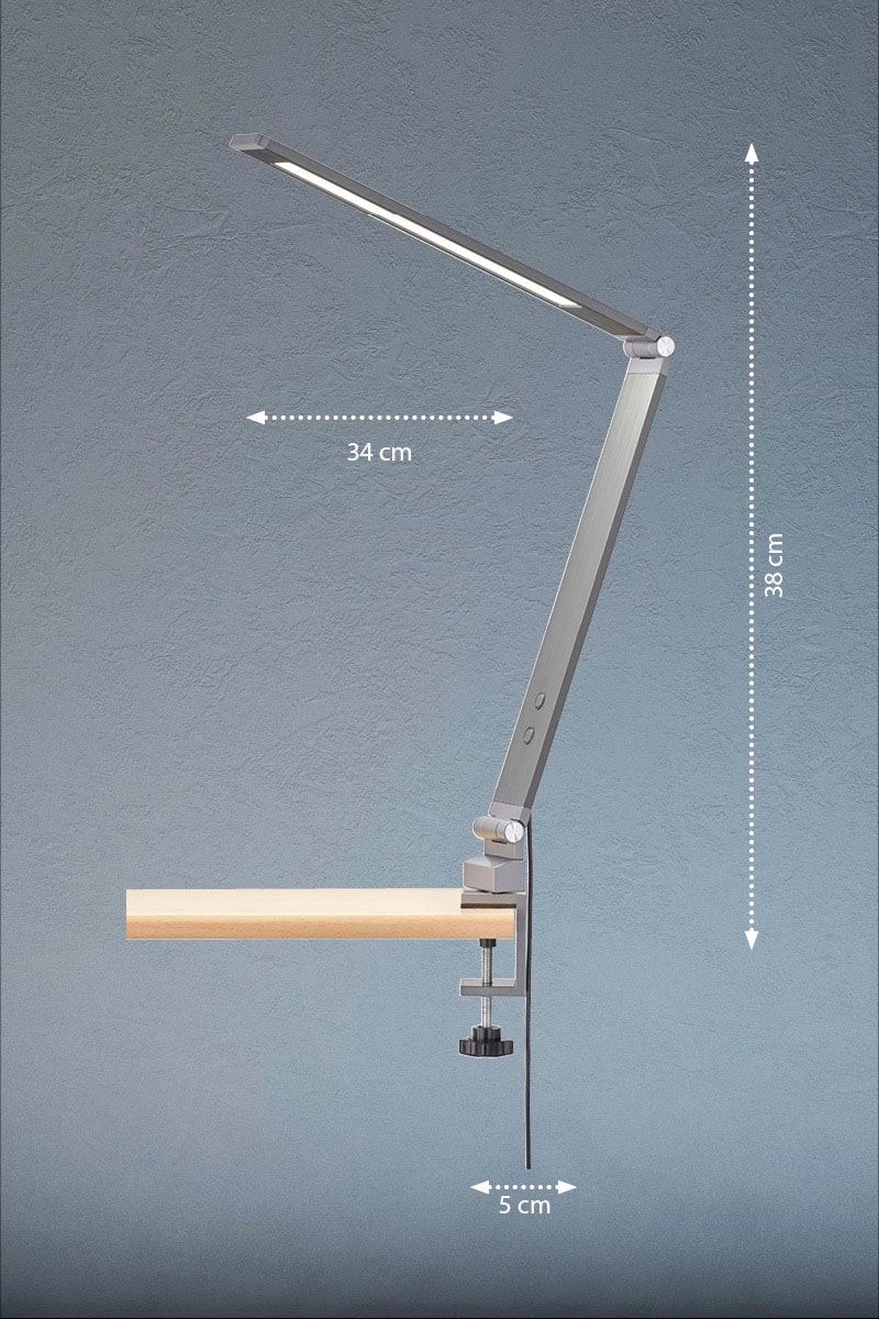 FISCHER & HONSEL LED Klemmleuchte »Geri«, 1 flammig, Leuchtmittel LED-Modul | LED fest integriert