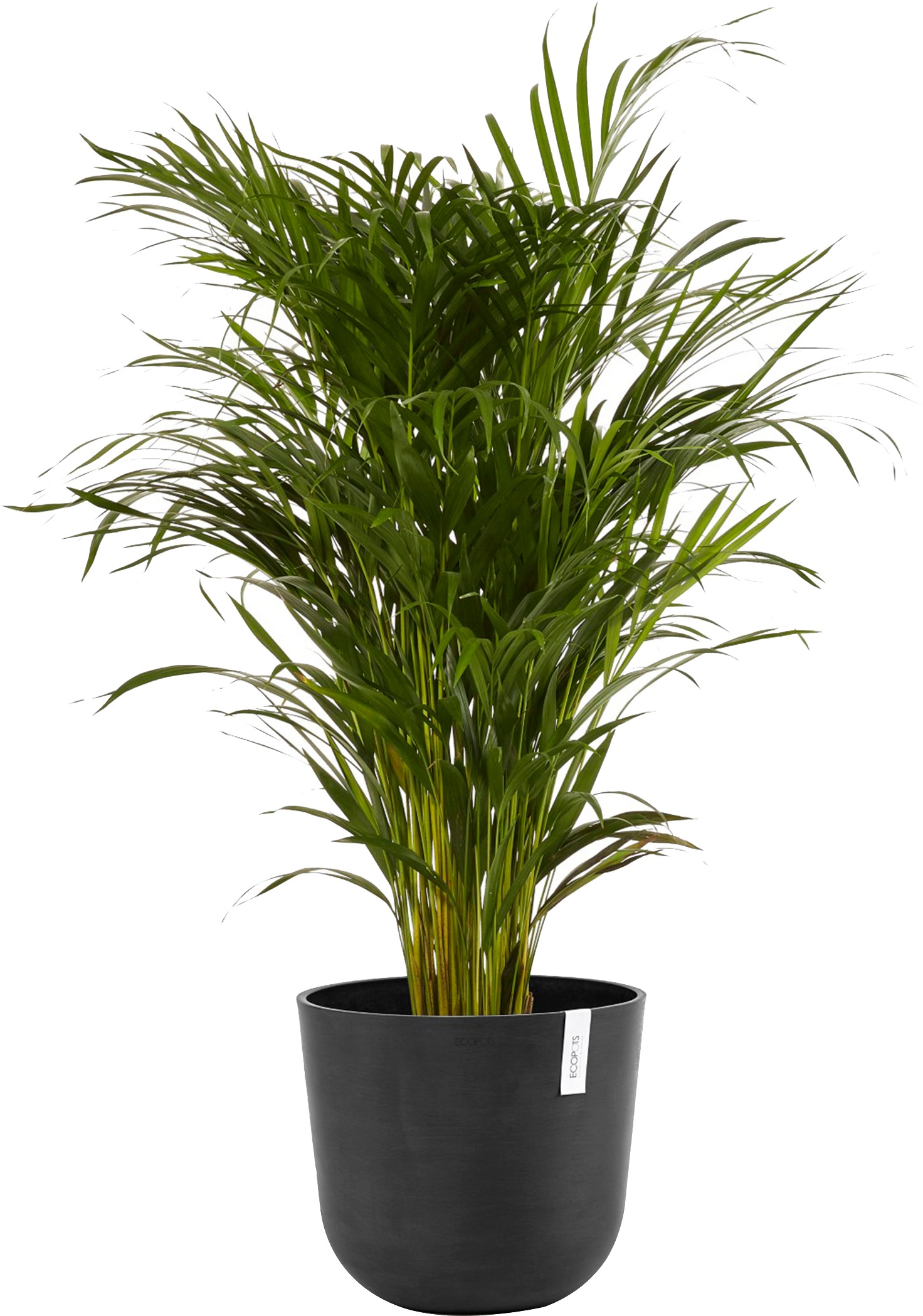 ECOPOTS Blumentopf »Oslo 35 Dunkelgrau«, für innen und außen: frostsicher, bruchsicher und lichtbeständig