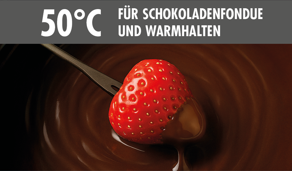 Gastroback Fondue »Fondue MultiCook 4-in-1 & Kochplatte«