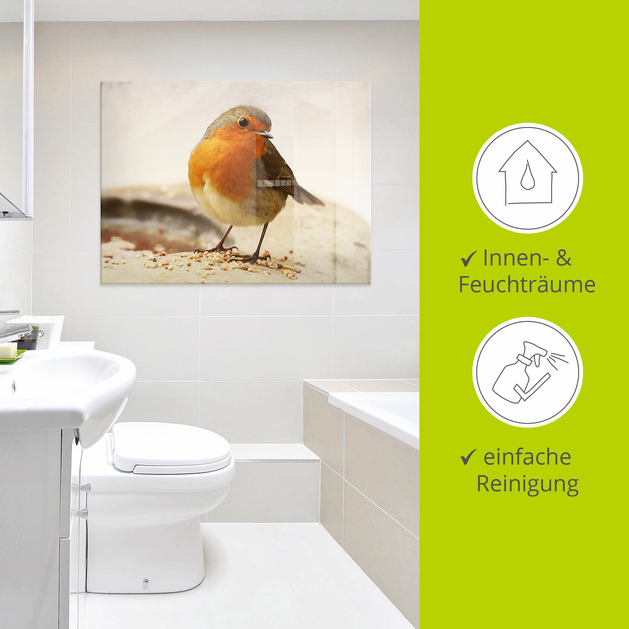 Artland Glasbild »Rotkehlchen« Vögel 1 Stk. tlg. in verschiedenen Größen