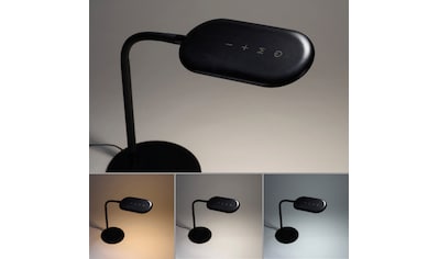 LED Leselampe »Abigal«, 1 flammig-flammig, Farbtemperatursteuerung, Tischlampe,...