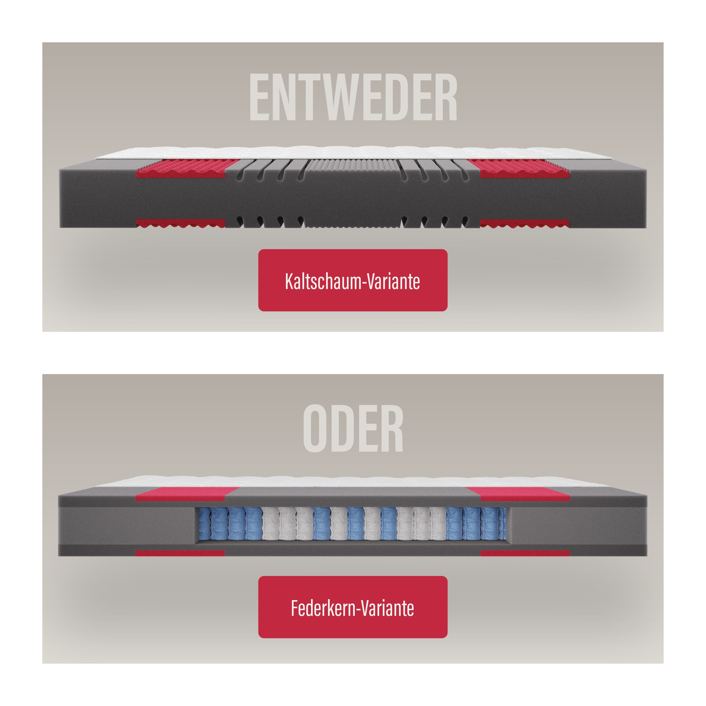 Paradies Kaltschaummatratze »Neuheit: Paradies Prolife Supreme, Testsieger günstig online kaufen