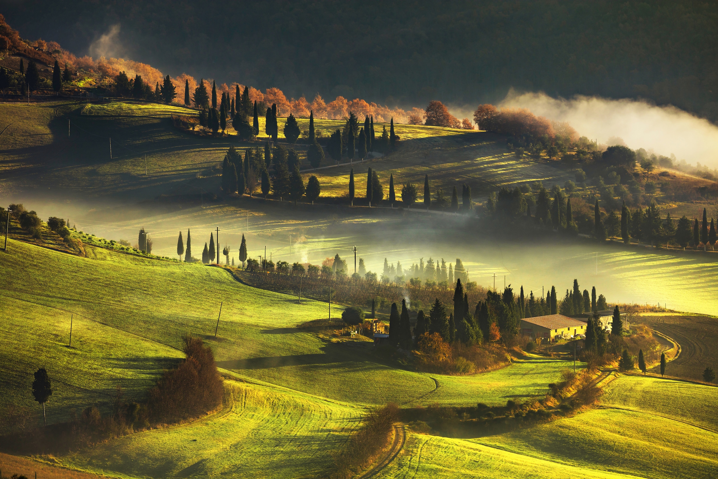 Papermoon Fototapete »LANDSCHAFT-HERBST NATUR BÄUME WALD BERGE GEBIRGE ALPE günstig online kaufen